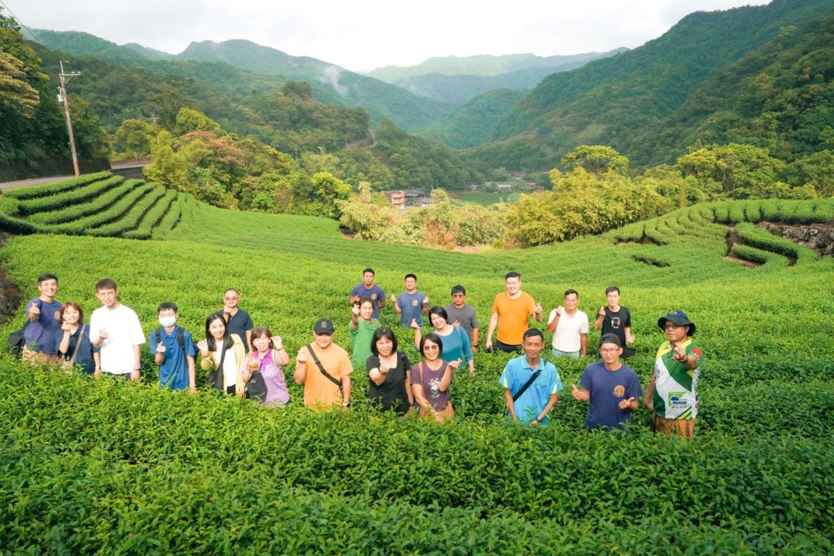 跨域交流促升級    基北北桃至新北特色茶園