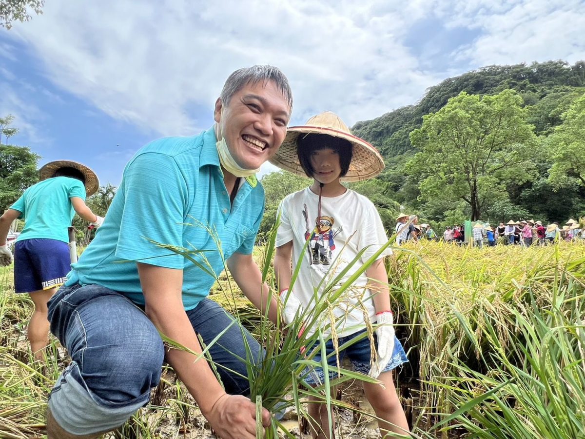 汐止區農會傳承農村記憶    邀請小小農夫體驗割稻