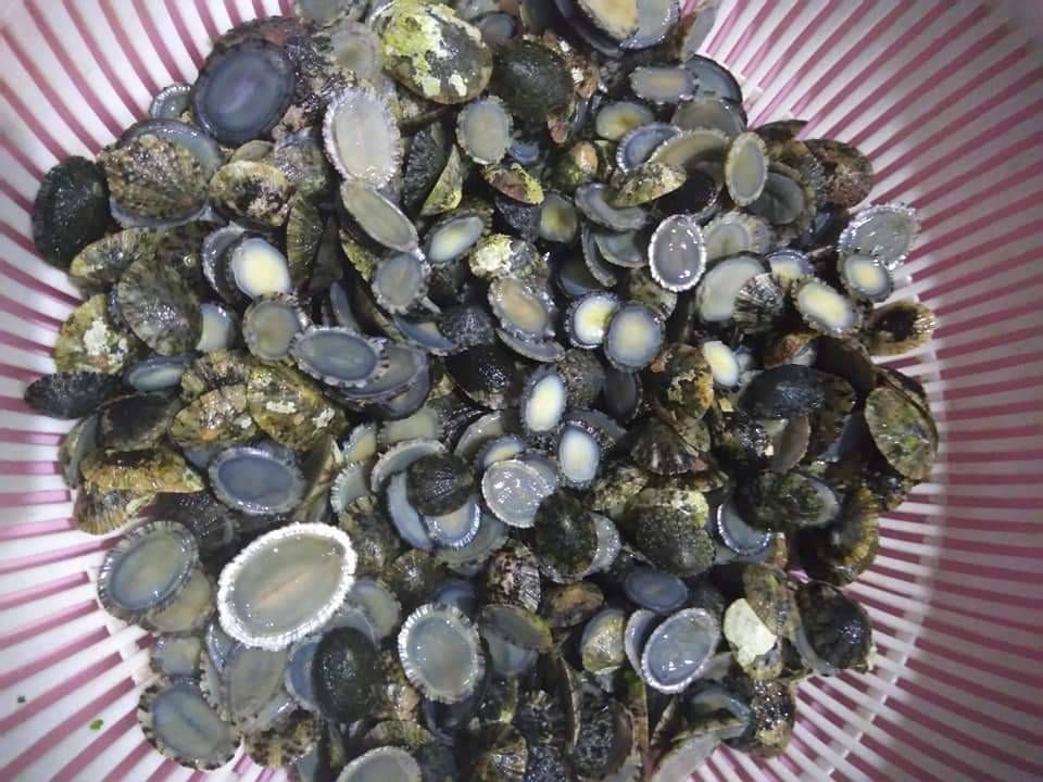 ▲淺戳仔的料理多樣化,營養價值高。(圖/新北漁業處 提供)