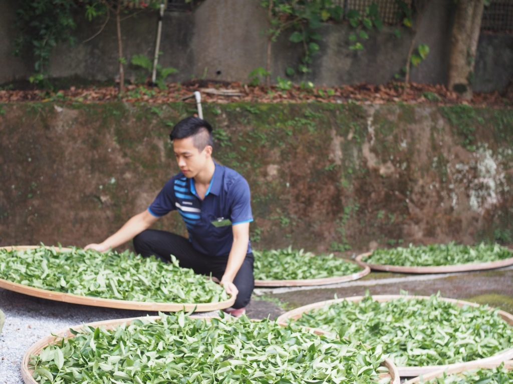 ▲製茶技術考驗茶農的競賽成績與結果。(圖/新北市農業局 提供)