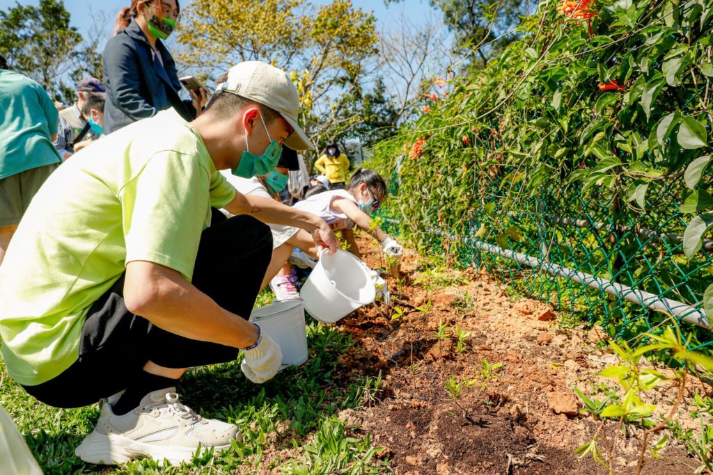 ▲栽種苗木美化市容已是新北全市運動。(圖/新北農業局 提供)
