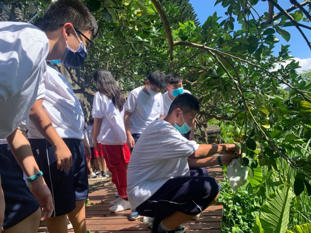 ▲新北市農業局推廣文旦食農教育，受到民眾的重視。（圖/新北農業局 提供）
