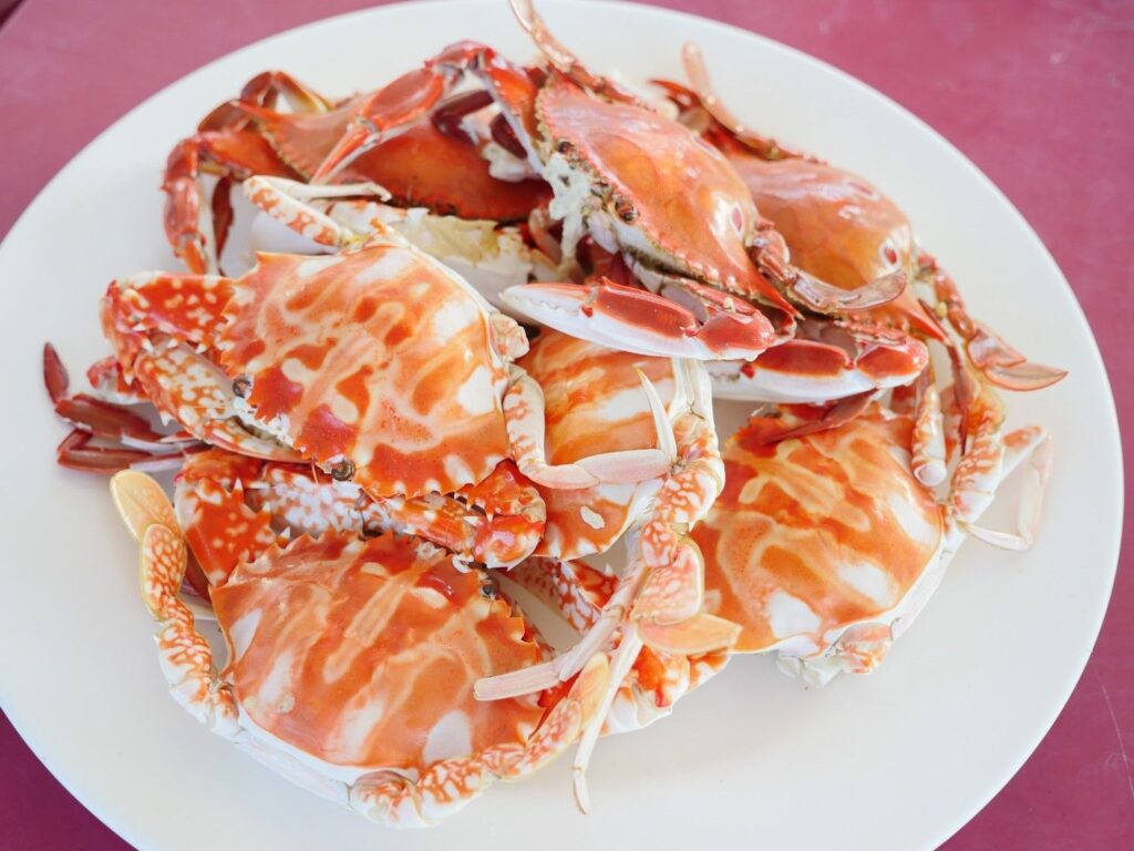 ▲蟹的質量與美味在新北市漁港都頗負盛名。(圖/新北漁業處 提供)