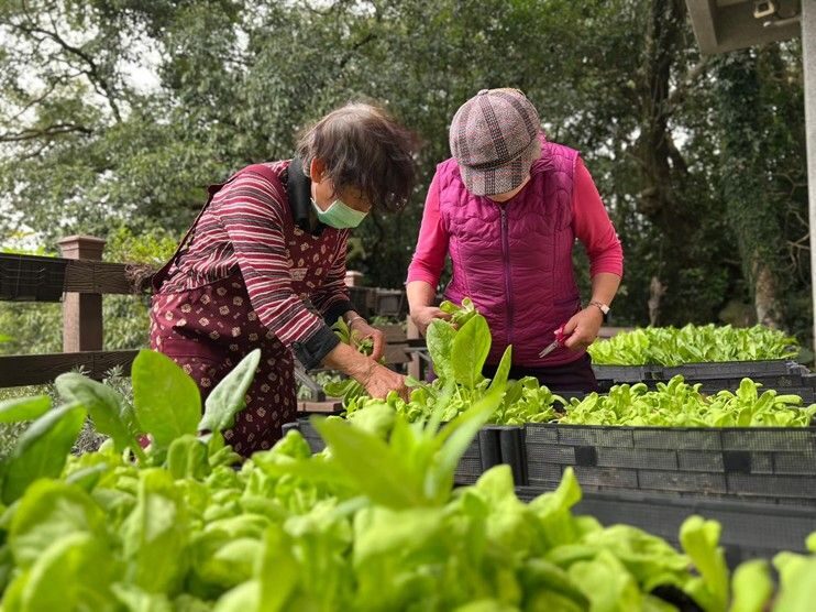▲新北農業局於再生社區推廣綠色照顧。(圖/新北農業局 提供)