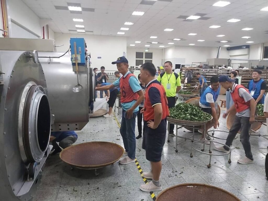 ▲茶農專業製茶過程的專業備受肯定。（圖/新北農業局 提供）
