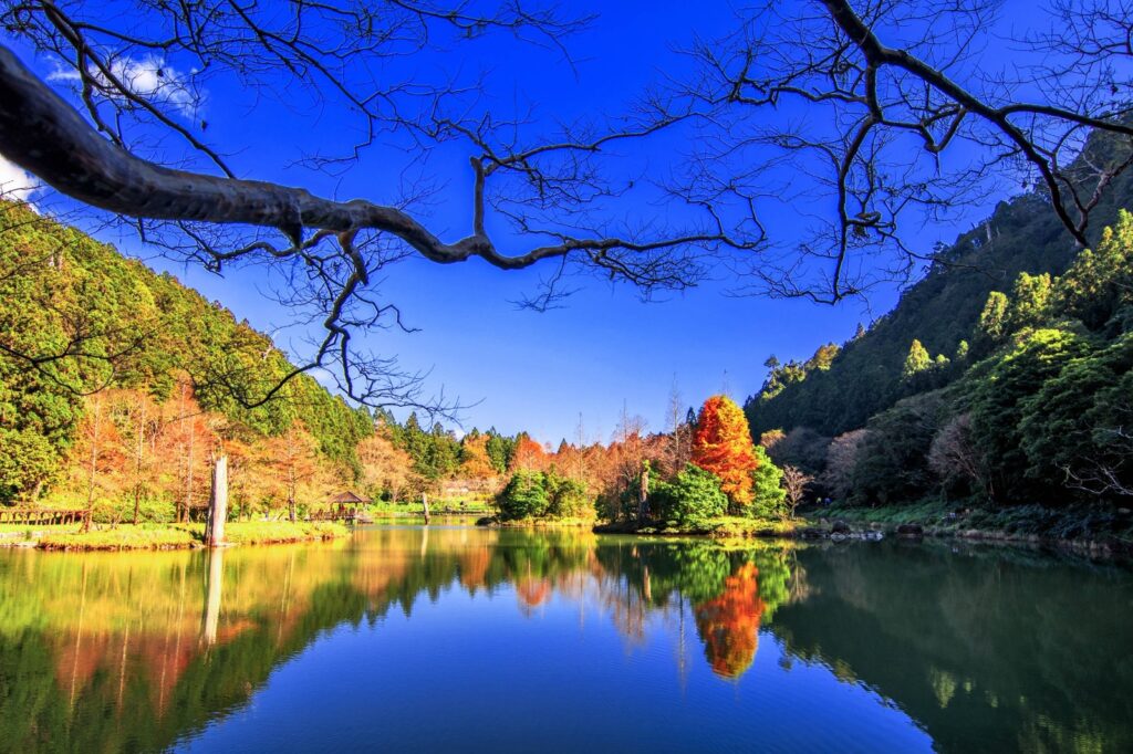 進入馬告生態園區-明池湖,聆聽藝術與自然的對話。(圖/力麗提供)