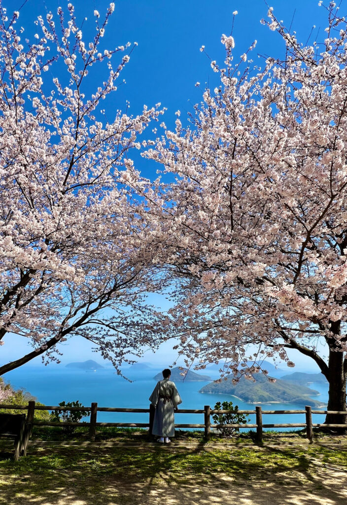 ▲日本的櫻花之國盛名確實是業界認為實至名歸的殊榮。(圖/亞洲旅遊台 提供)