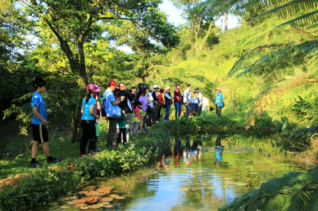 宛如現代桃花源的龍崗社區，生態景觀豐富，吸引民眾探訪。（圖/農業局提供）
