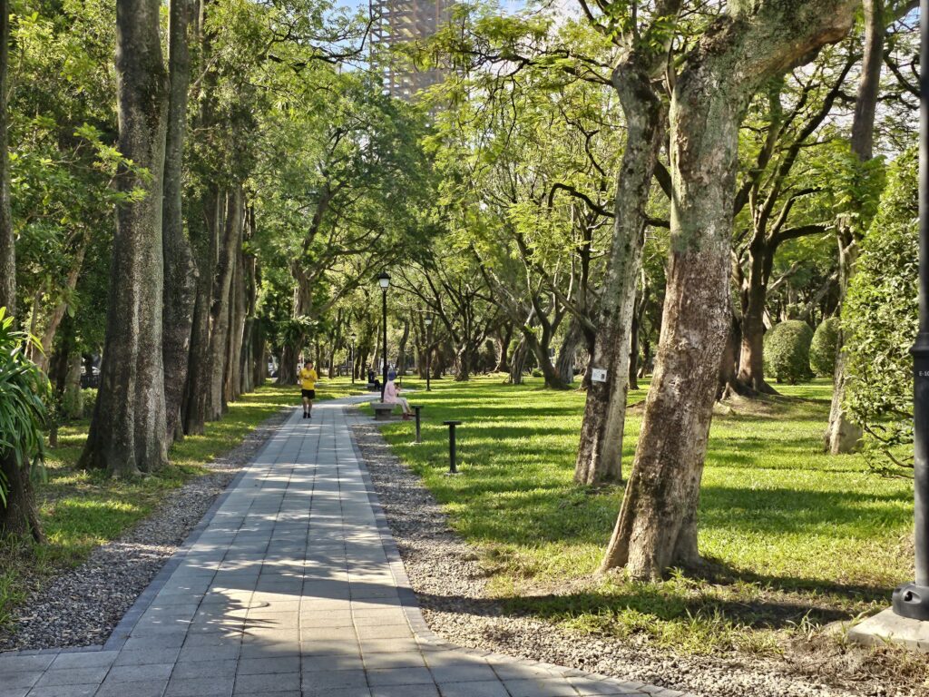 國父紀念館中山文化園區東側步道整修後平整又寛敞。（圖/國父紀念館提供）