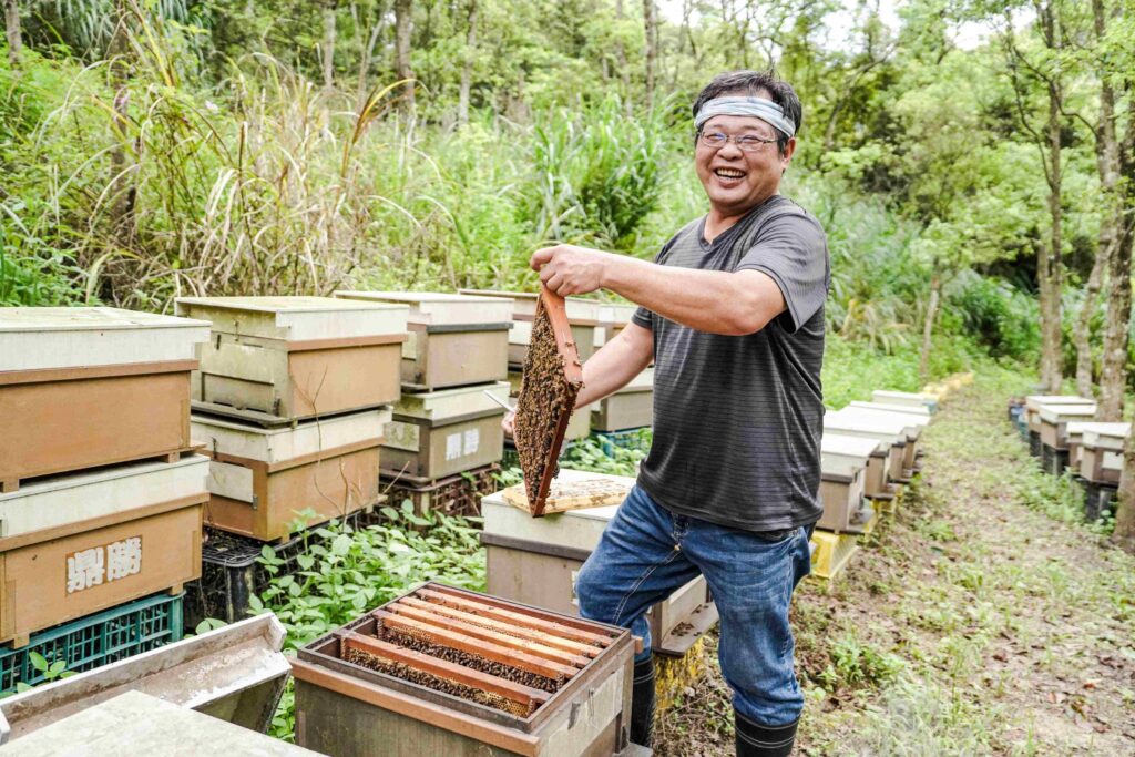 ▲養殖峰蜜獲得好的成果。(圖/新北農業 提供)