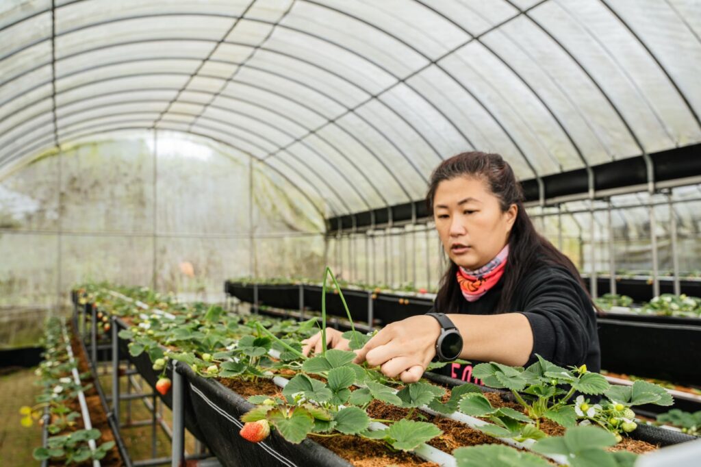 ▲對栽種花卉與蔬果的女性達人而言,女力的典型將是社會正向動力。(圖/新北市農業局 提供)