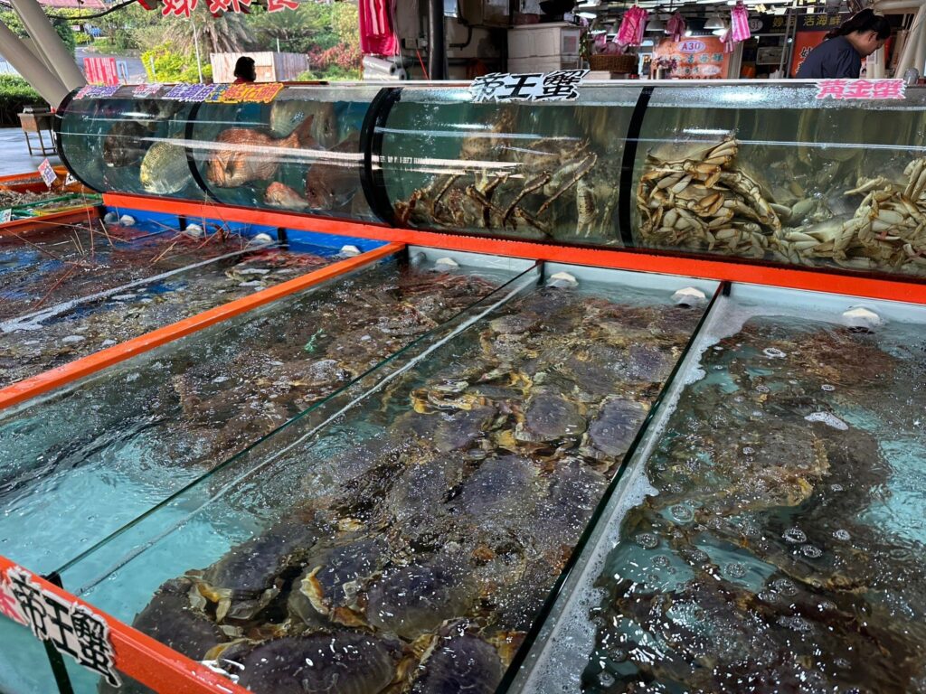 ▲萬里蟹與知名海產都是新北市漁港的招牌。（圖/新北市漁業處 提供）
