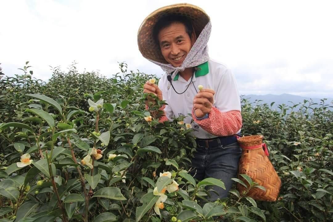 歡慶全國有機日   新北有機市集25及26日裕隆城登場