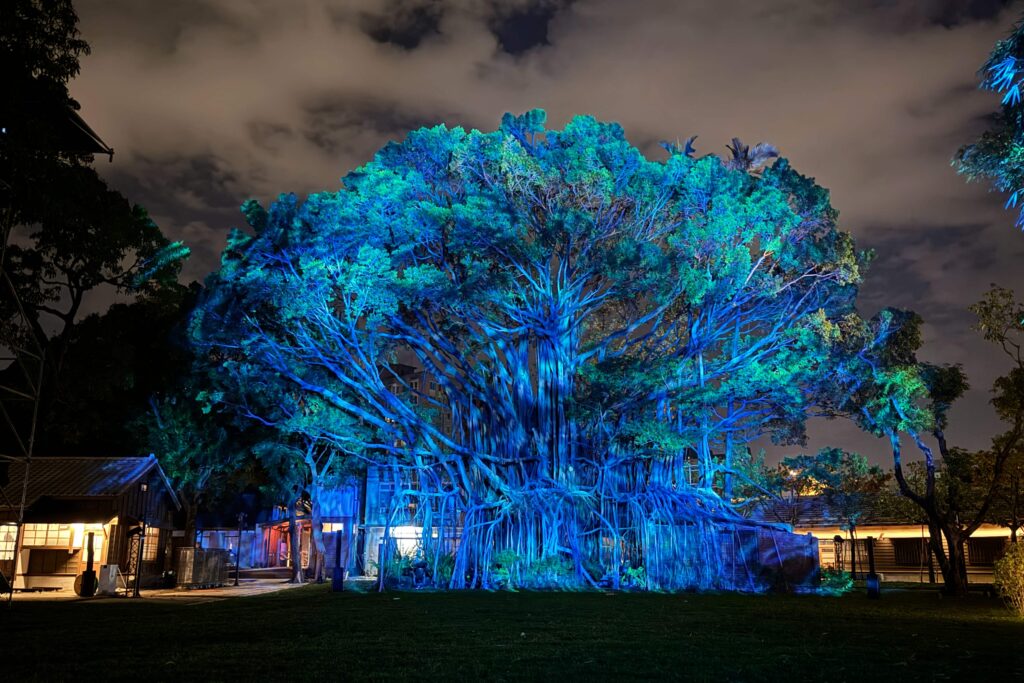 「大樹榕光」以光影、水霧、音樂等營造國漫館夜間不一樣的風景。（圖/文化部提供）