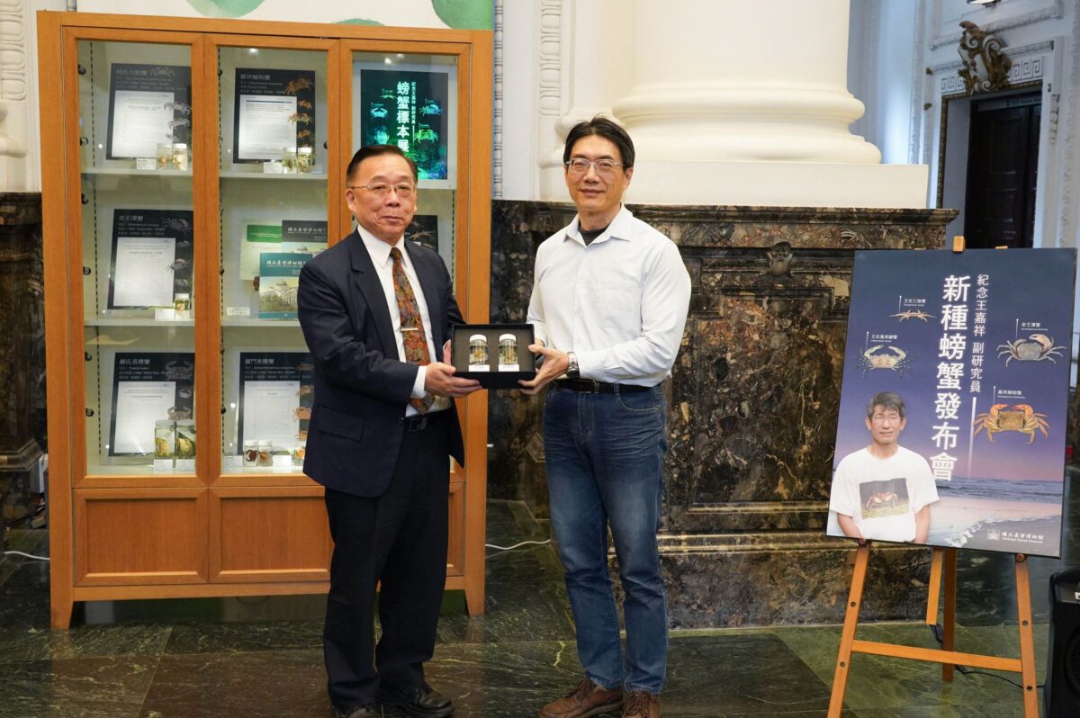 臺博館發表以「老王」命名的螃蟹新種   同步展出紀念王嘉祥新種螃蟹標本展