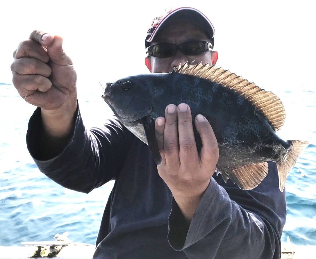冬季作伙來東北角漁港吃黑毛魚