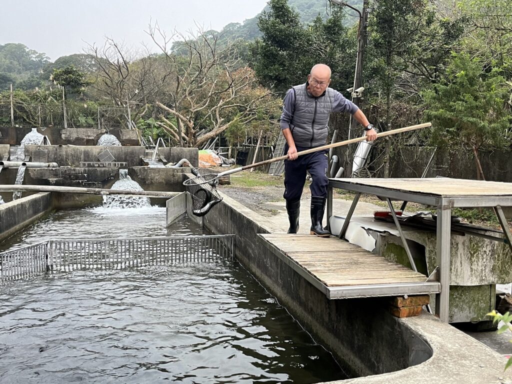 ▲養殖戶遵守相關管理規定,讓新北市水產品的養殖業呈現品質優化的發展。(圖/新北漁業處 提供)