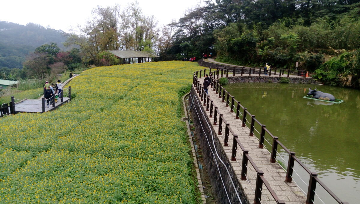 龍年走春   臺北特色農遊賞花趣