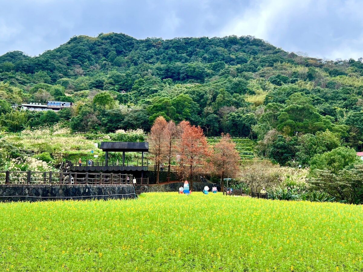 三貓走春  尋幽訪靜   台北後花園美不勝收