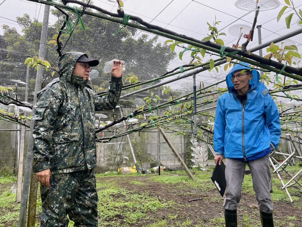 ▲新北三區淡水、三芝與金山,高接梨穗農損,備受農業局關切。(圖/新北農業局 提供)