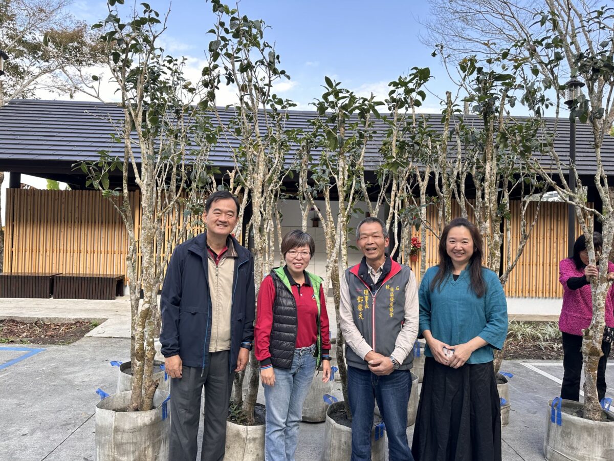 種植茶花樹   愛上阿里山   打造觀音瀑布新景點   備受矚目