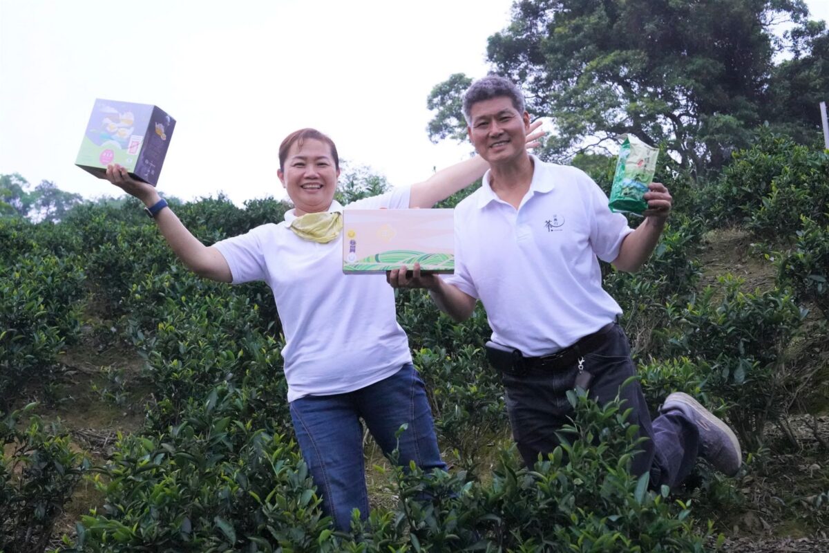傳承50年製茶技術  六代茶行奪碧螺春特等獎