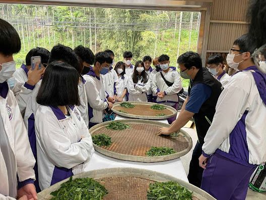 以茶入食   新北攜手北大合推三峽茶產業