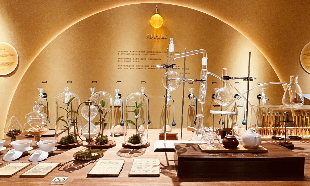 橫跨138億年的壯遊體驗！ 坪林茶博館「泡特展」最後倒數