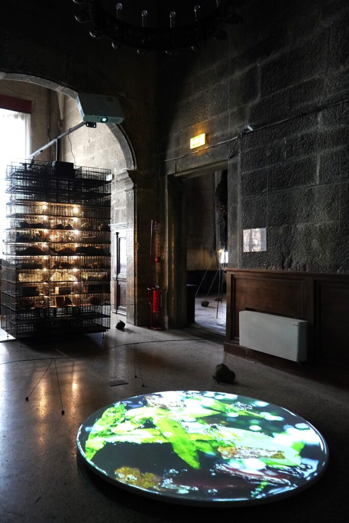 第17屆威尼斯建築雙年展臺灣館展場。（圖/國立臺灣美術館提供）