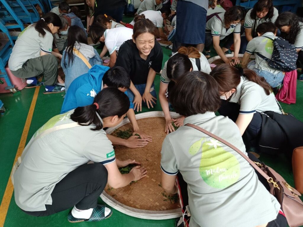 ▲和民眾因茶結緣，青農投注心力推廣茶業的製作流程。（圖/新北市農業局 提供）