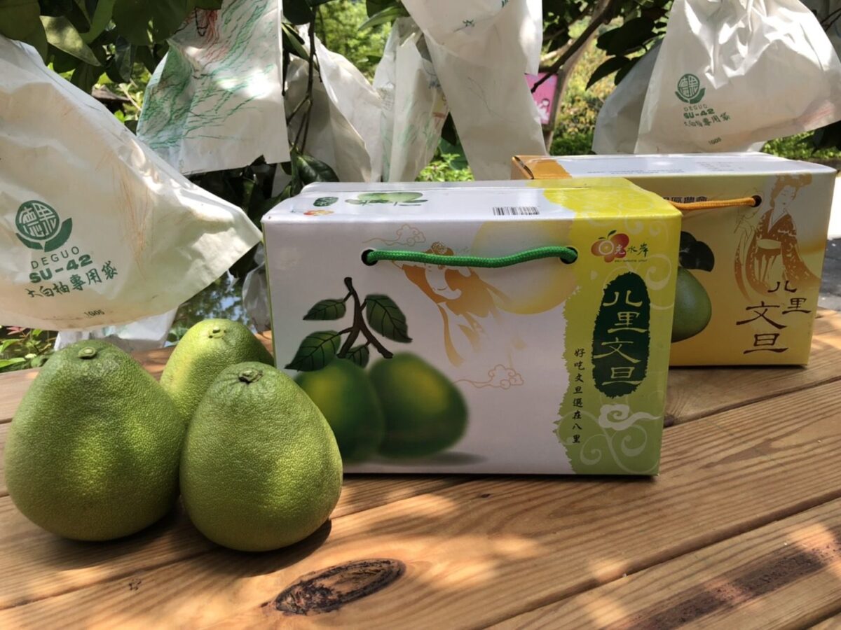 八里區農會推出文旦線上訂購享9折優惠   市場熱烈期待