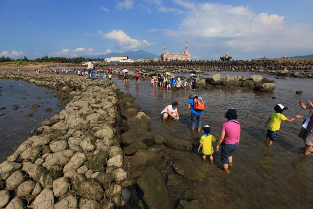 淡水石滬生態之旅深受民眾喜愛。(圖/漁業處提供)