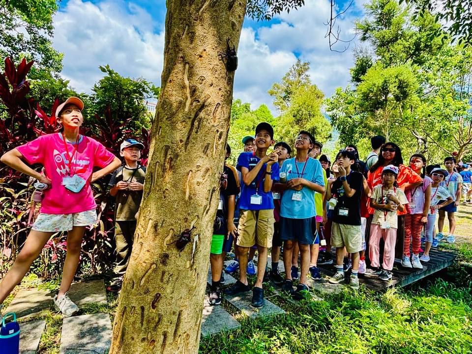 忠寮社區推出獨角仙生態探索體驗。(圖/農業局提供)