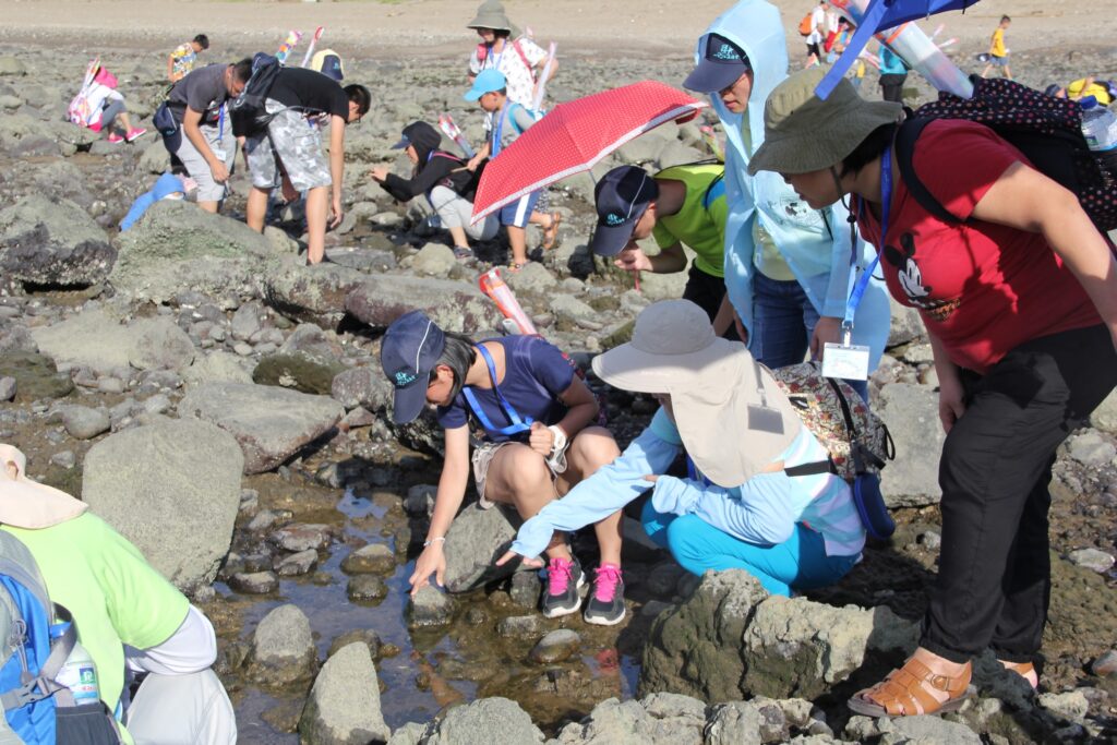 淡水石滬心週邊潮間帶，可近距離離觀察潮間帶生物。（圖/漁業處提供）