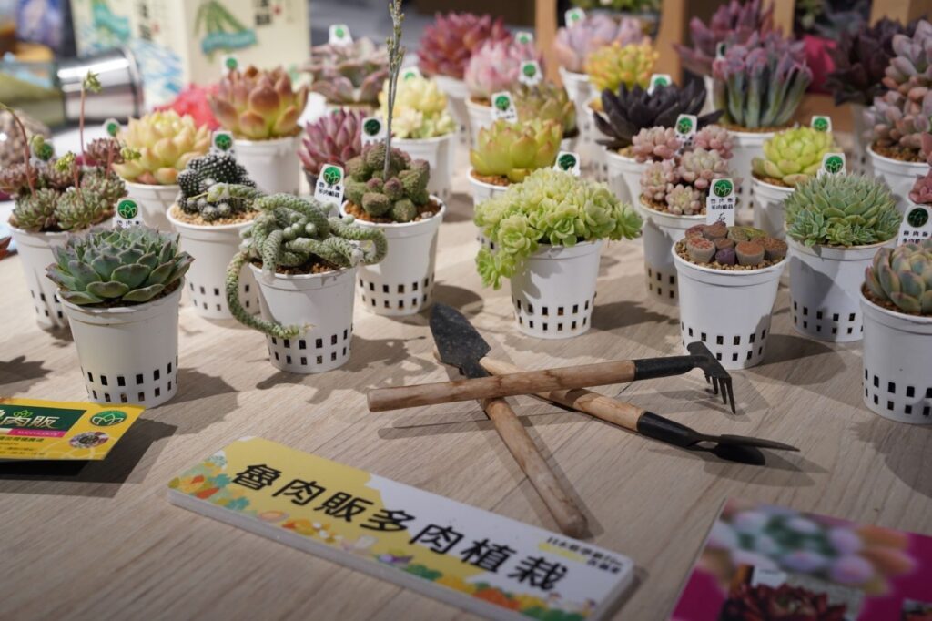 ▲示範栽種的花卉農作極具農業推廣教育的效益。（圖/新北市農業局 提供）