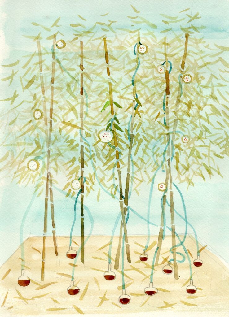 ▲亞洲藝術雙年展涵蓋面廣,提供藝術探究新的觀點與發展。(圖/國美館 提供)