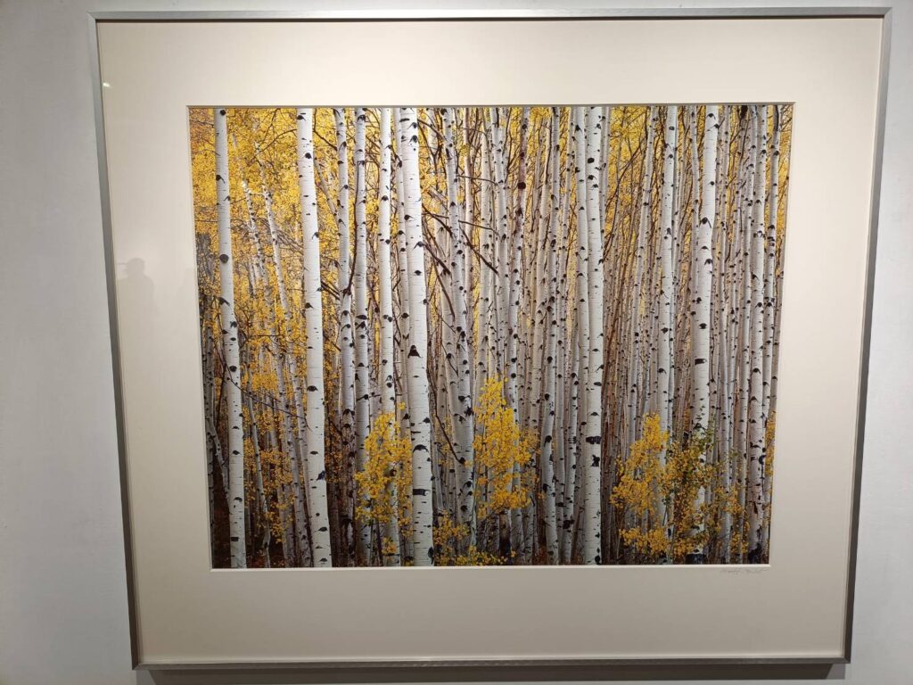 ▲知名攝影家的攝影作品展出，將延伸出觀者無窮的視覺感，賦予作品新的生命。（記者 辛澎祥/攝）