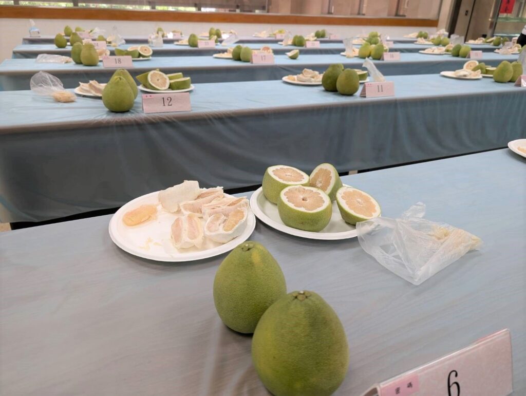 ▲新北市文旦柚美味香甜,受到消費者的喜愛。(圖/新北市農業局 提供)