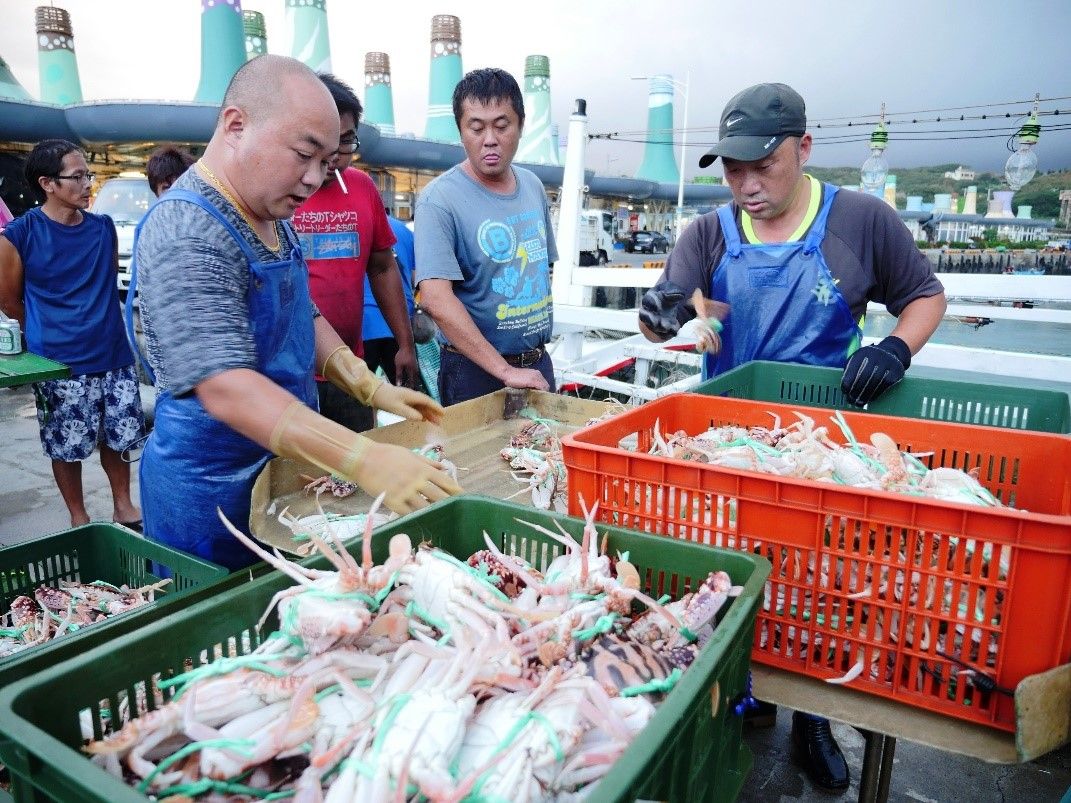 週末北海岸風箏節登場   富基魚市品蟹消費滿額送好禮