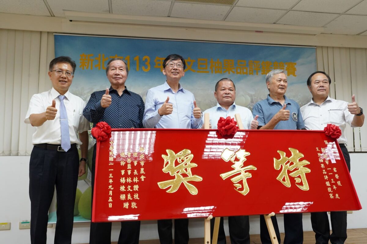 新北冠軍柚王出爐   新北文旦柚美味香甜