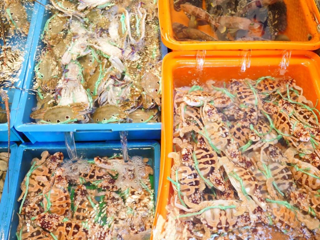 ▲滿滿攤位的魚蟹鮮蝦，在活動中更顯交頭熱絡。（圖/新北市漁業處 提供）
