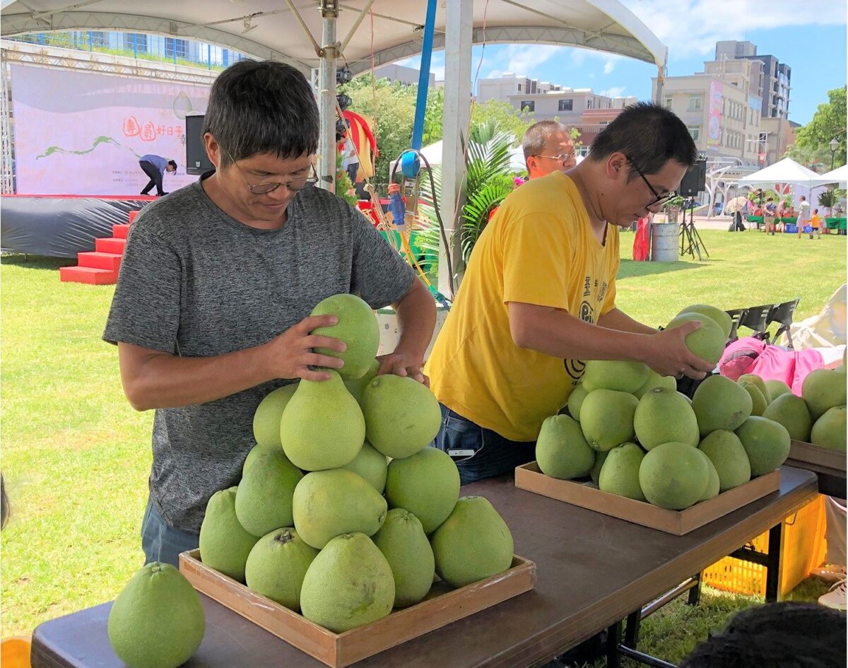新北文旦柚展售會7日登場  食農闖關送文旦