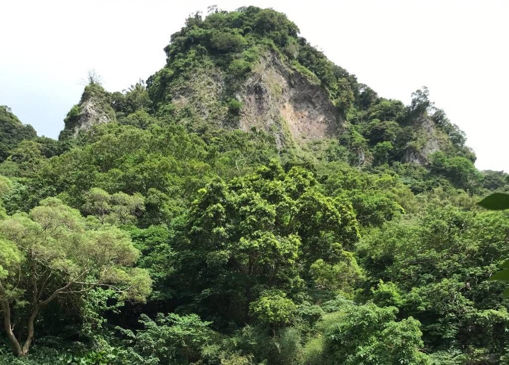 減災整治有成  新北市3區特定水土保持區廢止  回歸一般山坡地管理