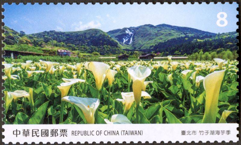 ▲寶島風情郵票-竹子湖海芋季。(圖/中華郵政 提供)