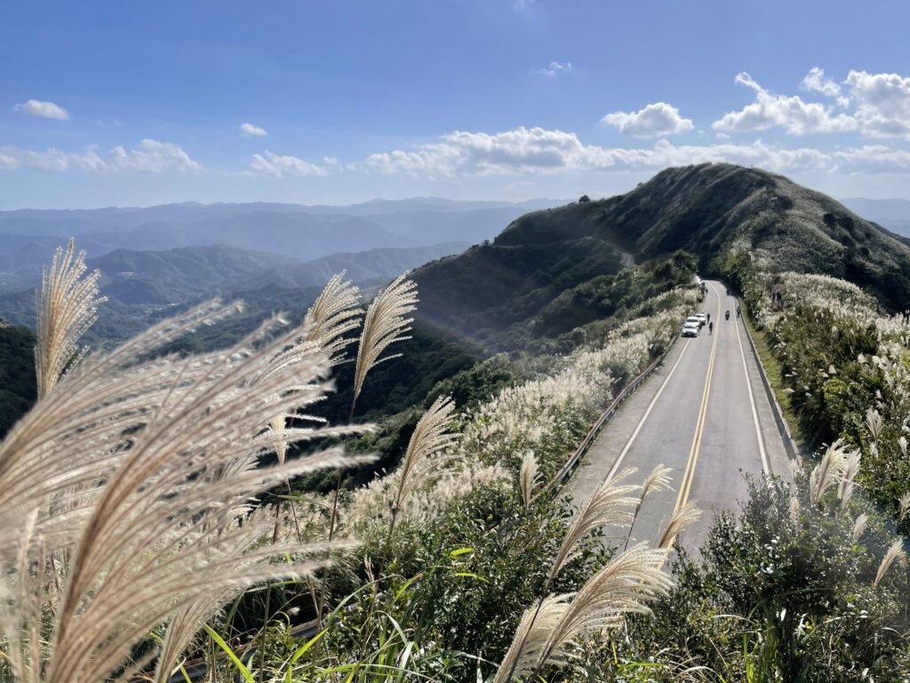 ▲登上不厭亭瞭望山路兩側搖曳芒花，怎麼拍都美。（圖/新北觀旅局 提供）