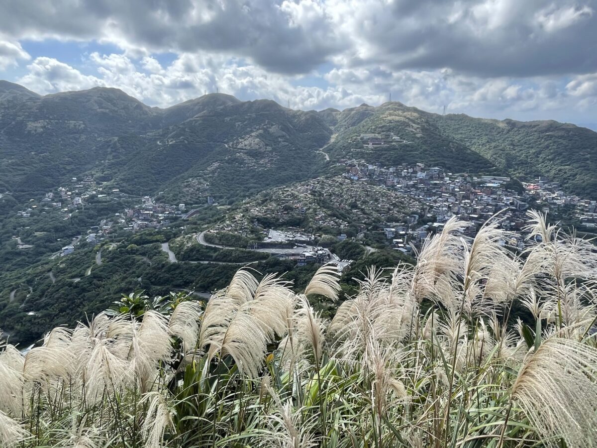 新北九份秋芒綻放飛舞  浪漫山海值得探索