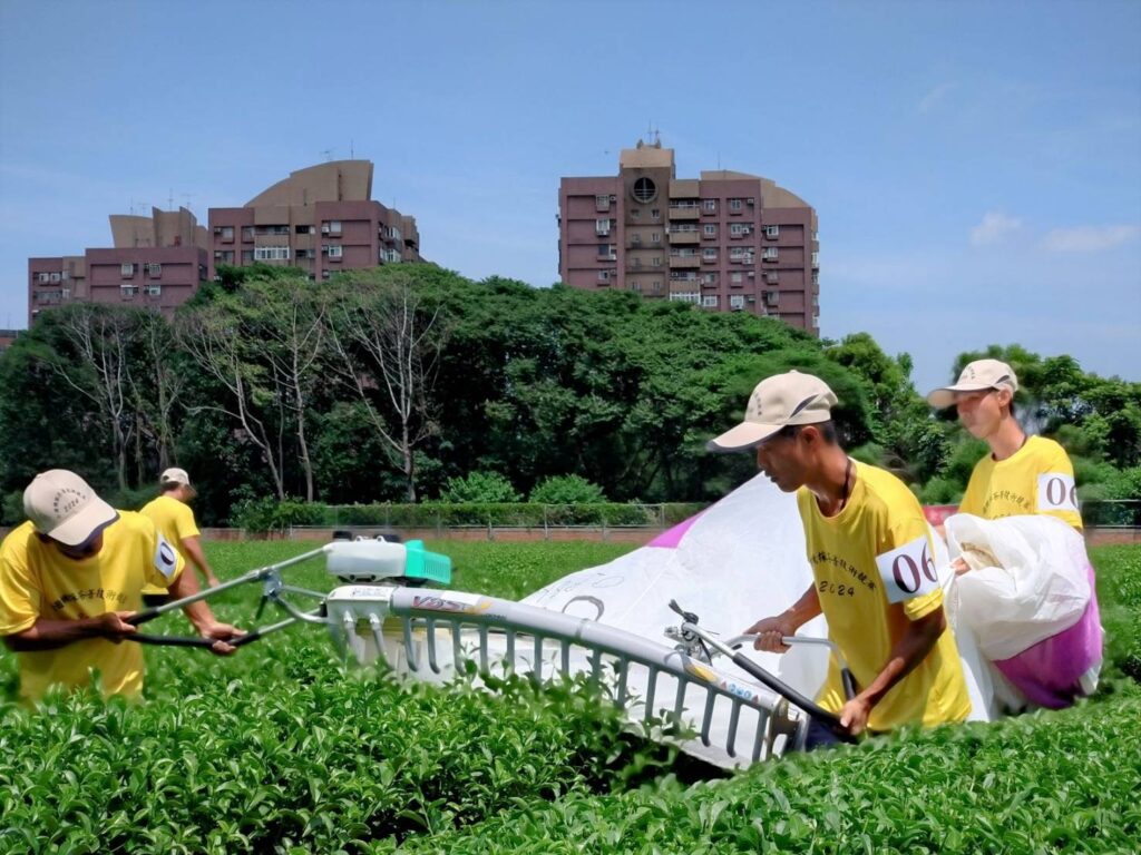 ▲新北市農業局輔導茶農栽種茶葉情形。（圖/新北市農業局 提供）
