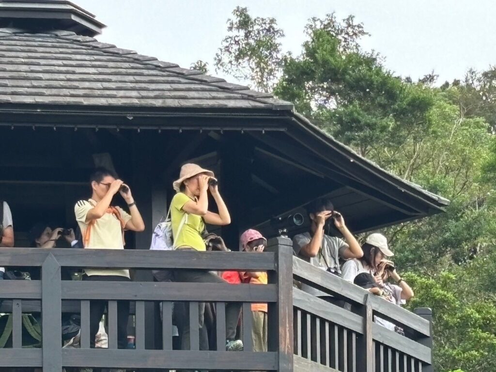 ▲觀察鳥禽的棲息生態是生態旅行的重點。(圖/新北市農業局 提供)