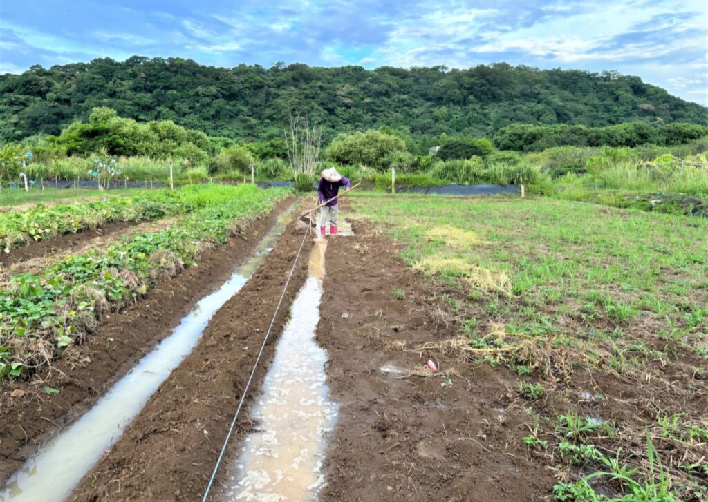 ▲新北市農業局的三生永續主題政策,以生態給付維護生物重要棲地為重點。(圖/新北市農業局 提供)