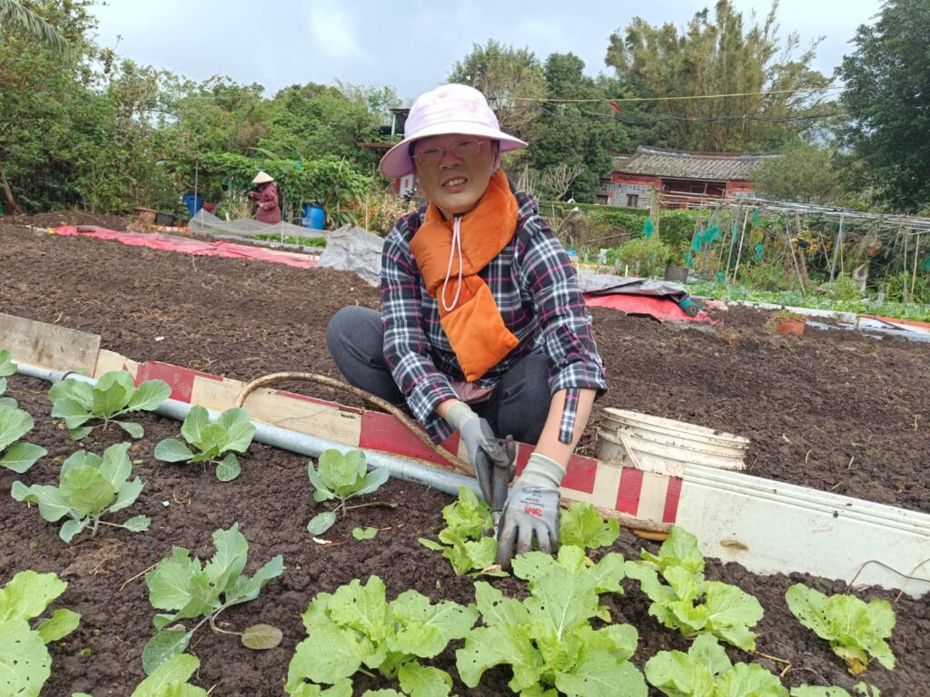 ▲新北市農業局推動市民農園，民眾體驗蔬菜耕作樂趣。（圖／新北市農業局提供）